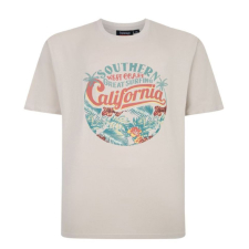 big mens t shirt with california print